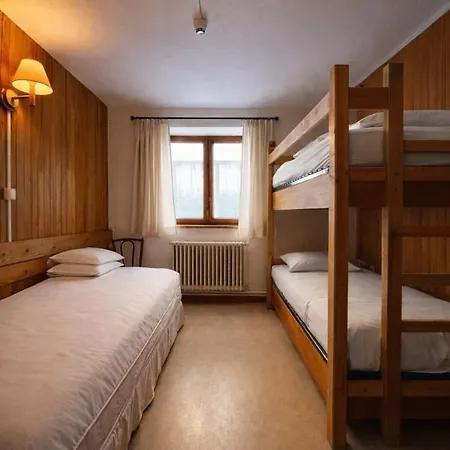 Splendid Ski-in,ski-out Historical Chalet! Alpehytte *